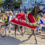 Debutant med stærk derbyarv på Fyn - Helsøster til Dream Girl DREAM_GIRL_MGL9249