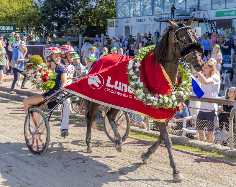 DREAM GIRL MGL9249