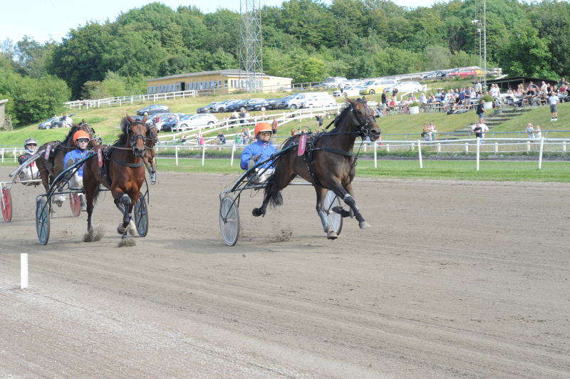 Kort nyt DSC_3421