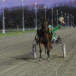Salgsmenuen – Ny løbshest udbydes DSC_5954 (1)