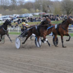Prins Henriks Cup til Hillary Kyvsgård DSC_6971