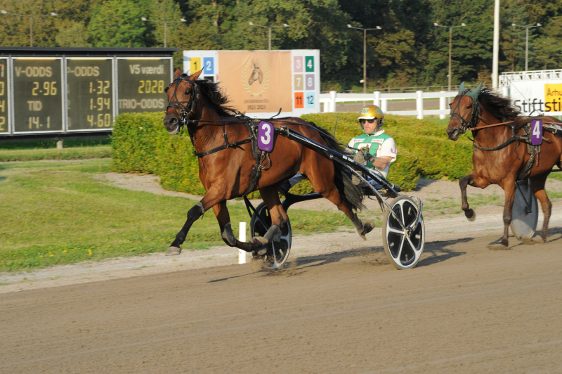 Kort nyt fra ind- og udland DSC_7813