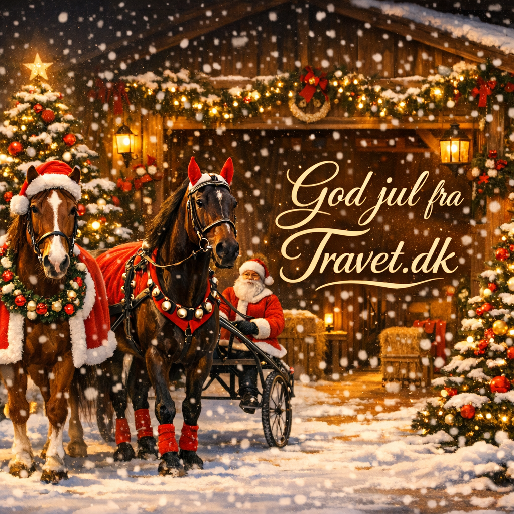 Glædelig jul fra Travet.dk Designer-2-1