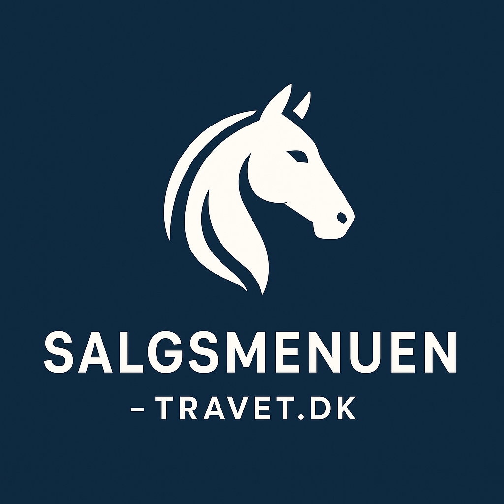 Salgsmenuen - Sådan ser det ud Designer-2-1024x1024-1