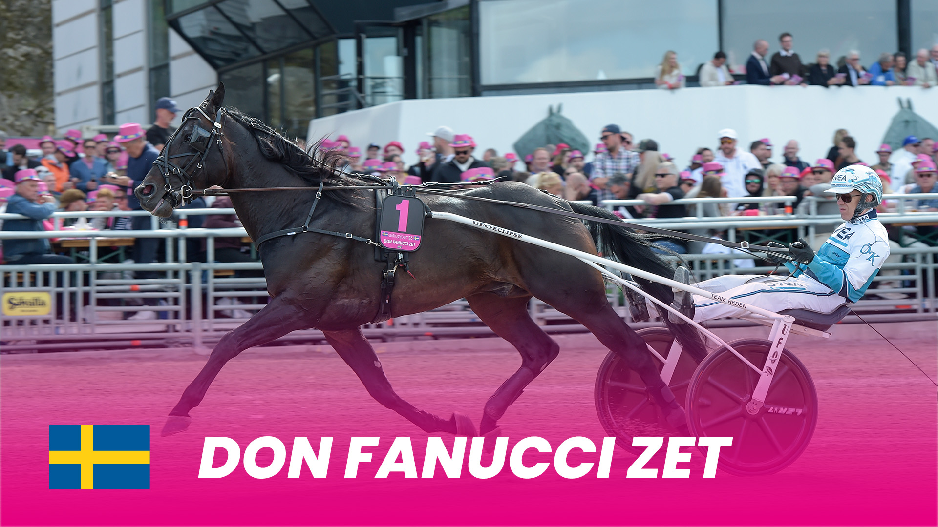 Don Fanucci