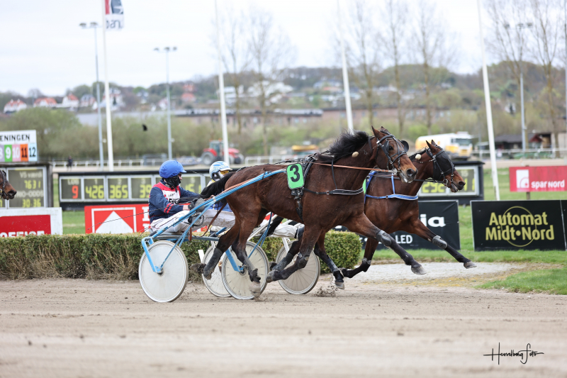 DonAnton 0403