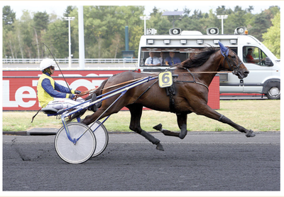 Salgsannonce – Ny pris eller bud Salgsannonce – Ny pris eller bud