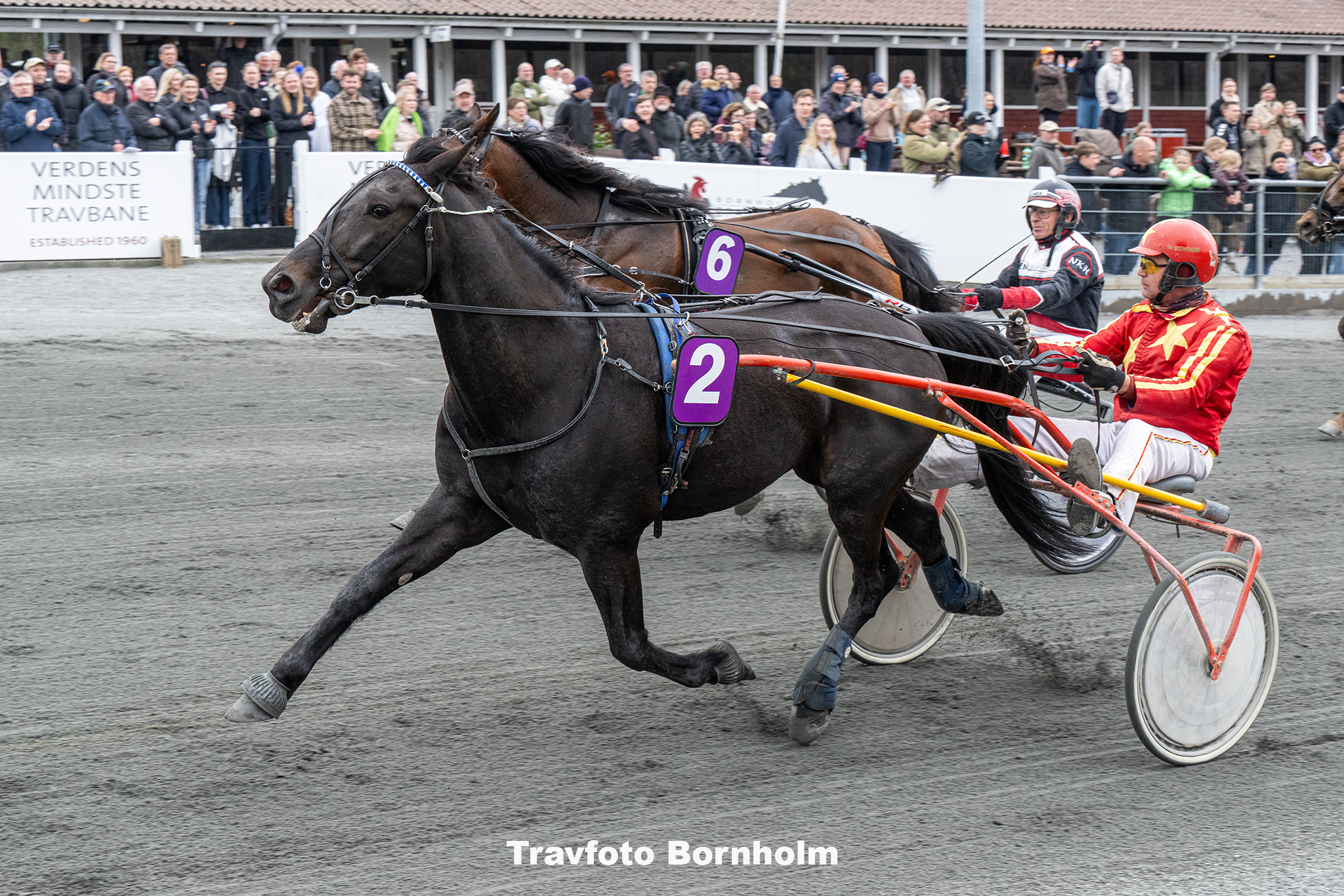 First Osiris med Michael Skovmose 19 april 2025 Fotograf Torben Ager Travfoto Bornholm TKA 7986