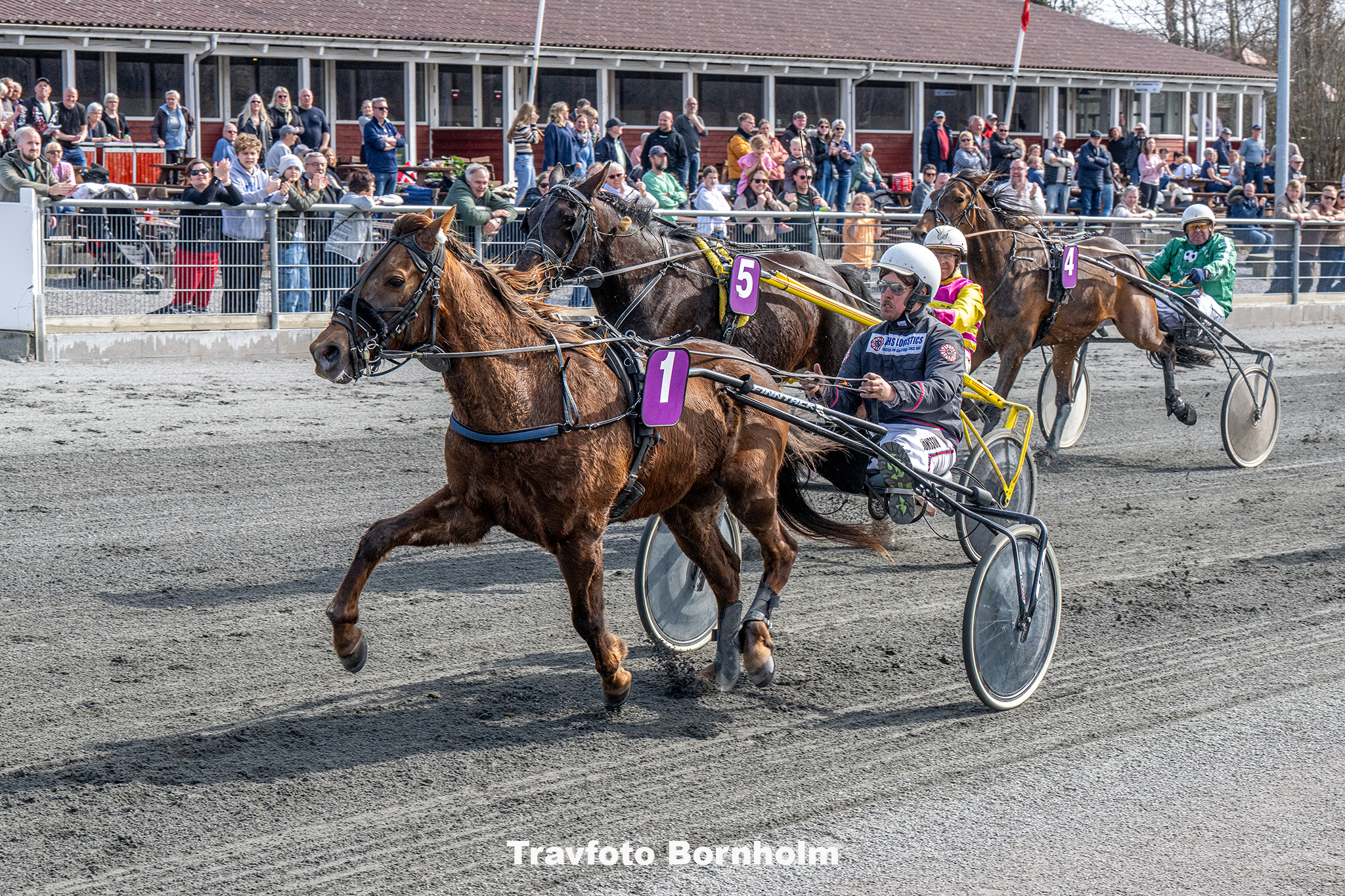 Fitou med Jonas Jonsson 13 april 2025 Fotograf Torben Ager Travfoto Bornholm TKA 7519