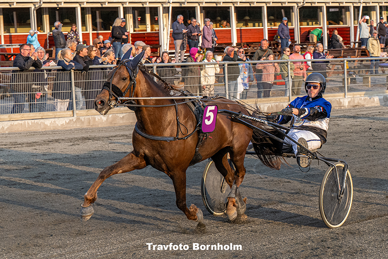 Fitou med Oliver Gommans 17 juni 2025 Fotograf Torben Ager Travfoto Bornholm TKA 2601