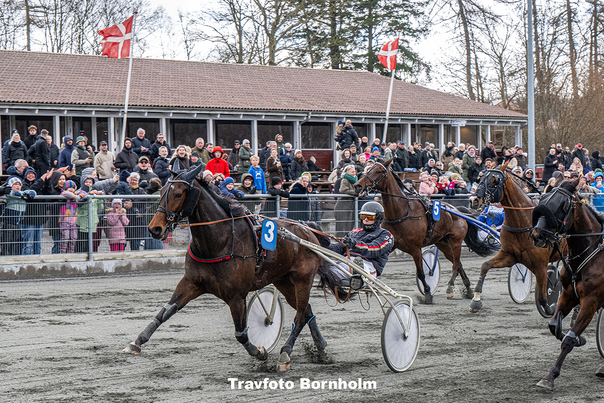 Foxie Hill med Joergen Pedersen 4 april 2026 Fotograf Torben Ager Travfoto Bornholm TKA 8826
