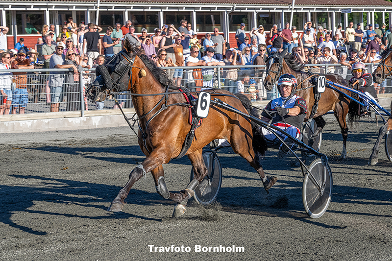 Froens Hjortshoej med Niels Kristian Hansen 1. juli 2025 Fotograf Torben Ager Travfoto Bornholm TKA 4920