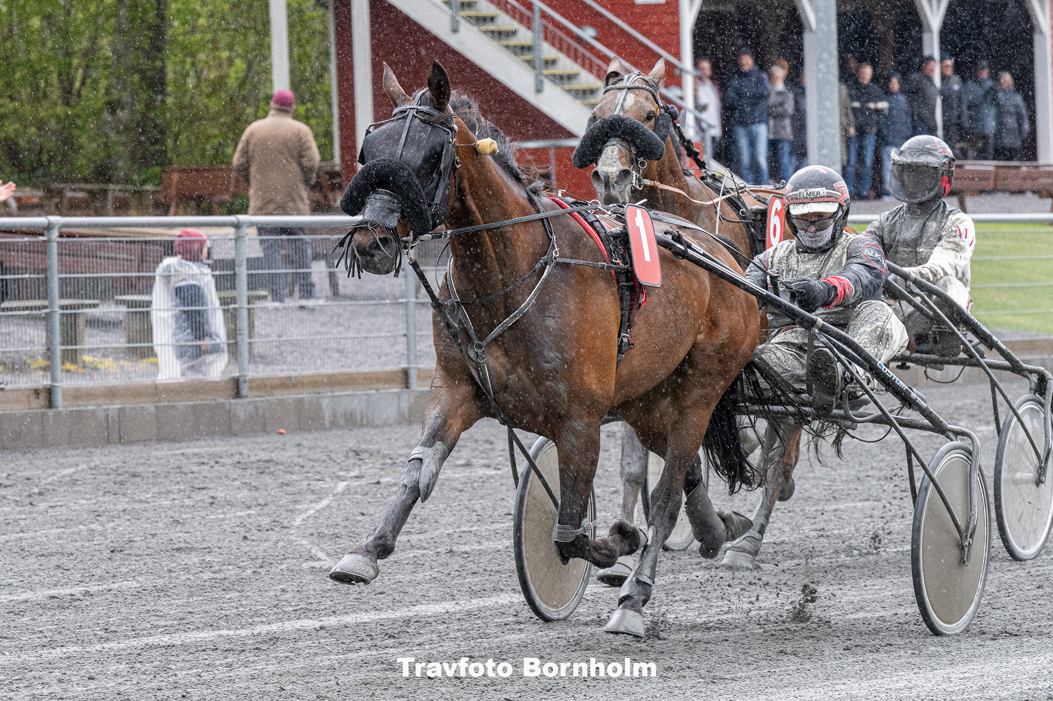 Froens Hjortshoej med Niels Kristian Hansen 3 maj 2025 Fotograf Torben Ager Travfoto Bornholmm TKA 8404