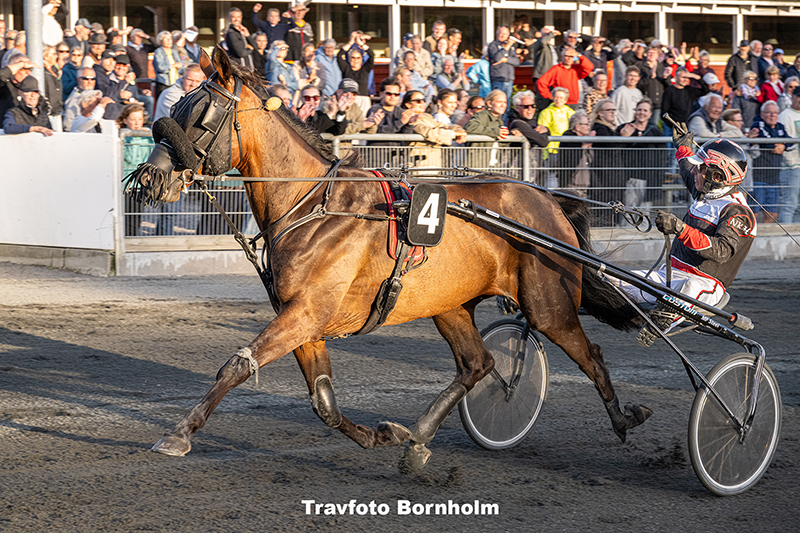 Froens Hkjortshoej med Niels Kristian Hansen 5 august 2025 Fotograf Torben Ager Travfoto Bornholm TKA 8372