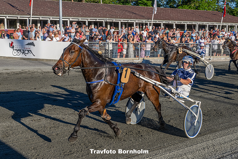Frygtloes med Martin Sjoeholm Jensen 1. juli 2025 Fotograf Torben Ager Travfoto Bornholm TKA 5066