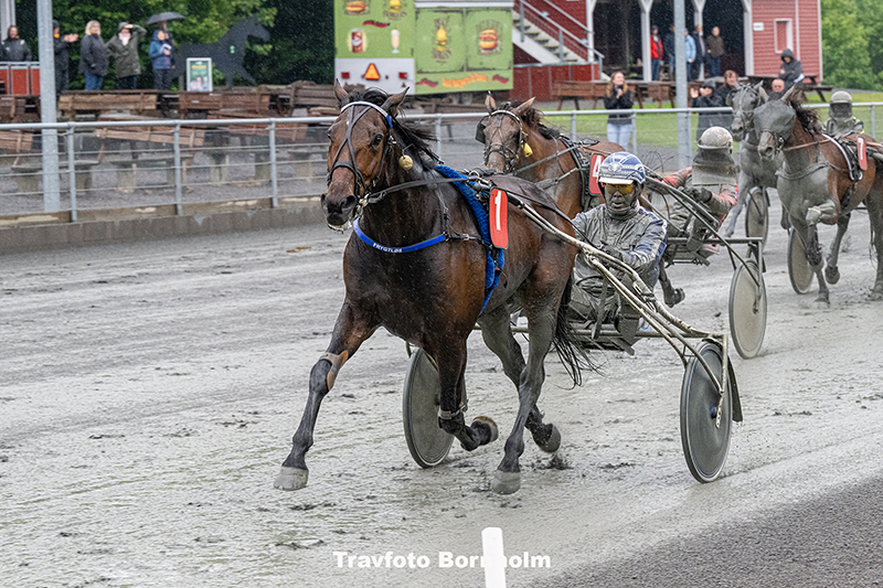 Frygtloes med Martin Sjoeholm Jensen 10 juni 2025 Fotograf Torben Ager Travfoto Bornholm TKA 1424