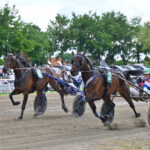 Italiensk sejr i Hoppesprinten GOLDIE_HOME_DSC_3491