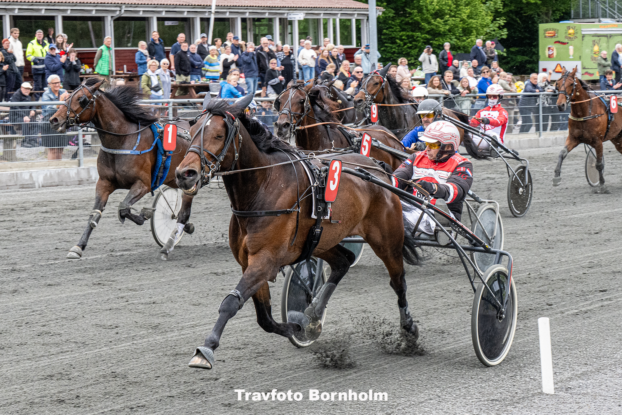 Ghostbuster med John Gommans 5 juni 2025 Fotograf Torben Ager Travfoto Bornholm TKA 0678