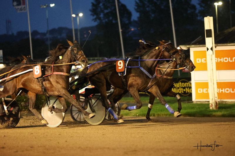 GreatFriction 1244