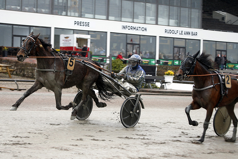 Groenaert 2116 260419