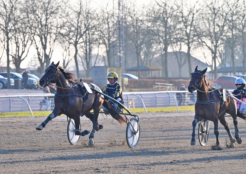 Kort nyt HARBOE_DSC_9122