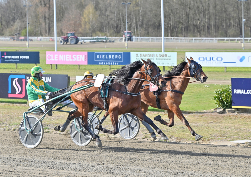 Henrik Lønborg – En markant skikkelse i dansk travsport HEART_OF_STEEL_DSC_0648