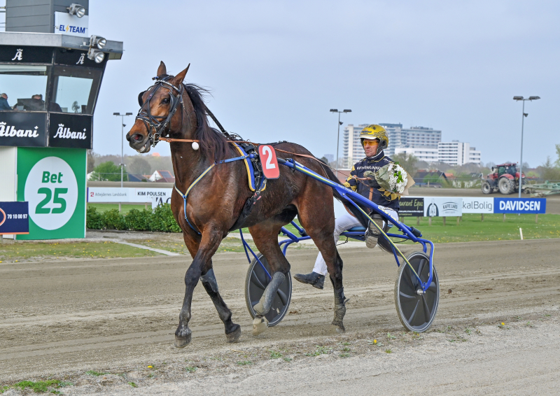 HENRIK WILL DSC 1952