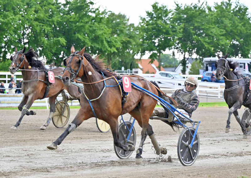 HENRIK WILL DSC 8612