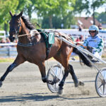 High Five prøves af på Vincennes