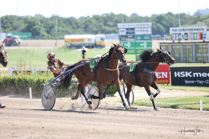 Hambo 2871