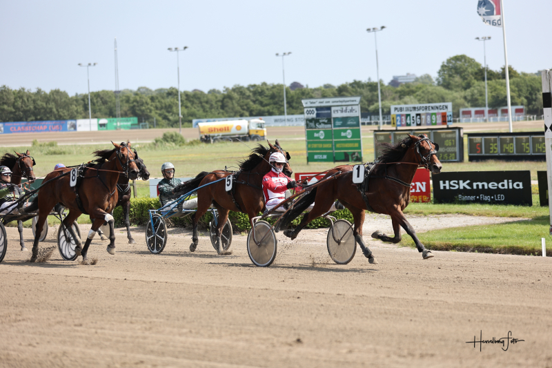 Hambo 9165