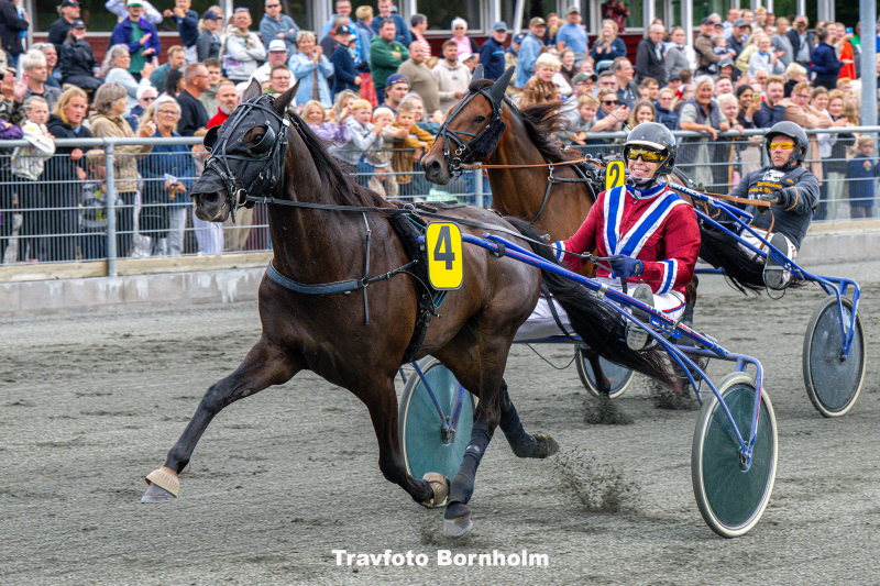 Hardcore Flamingo med Susanne Munk 22 juli 2025 Fotograf Torben Ager Travfoto Bornholm TKA 6347