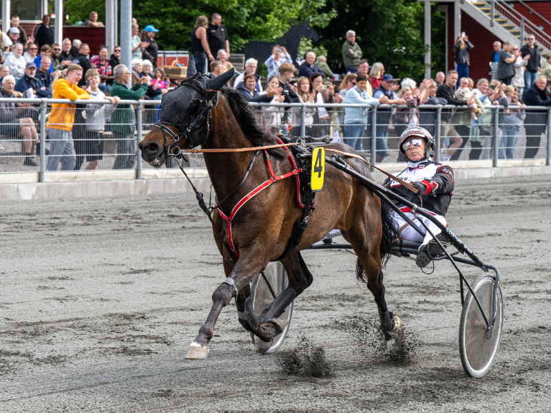 Hazard Hjortshoej med Niels Kristian Hansen 5 juni 2026 Fotograf Torben Ager Travfoto Bornholm TKA 4533 800x600 1