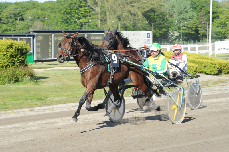 HeartofSteel 1446