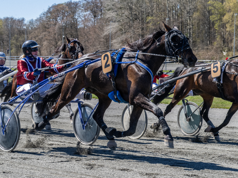 Hector Day med Susanne Munk 26 april 2026 Fotograf Torben Ager Travfoto Bornholm TKA 0607 800x600 1