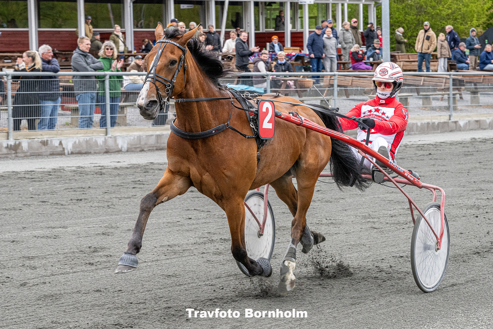 Hejdi Hovmand med Mads Petersen 10 maj 2025 Fotograf Torben Ager Travfoto Bornholm TKA 8883