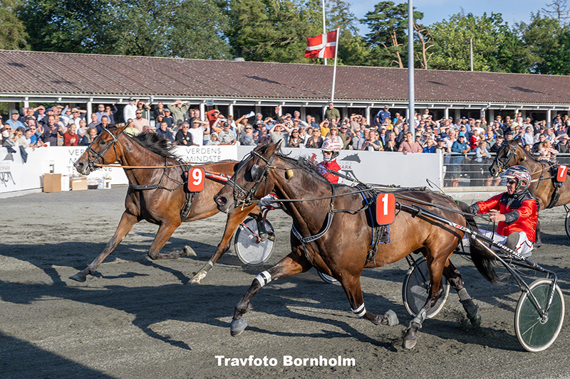 Hejdi Hovmand med Mads Petersen 29 juli 2025 Fotograf Torben Ager Travfoto Bornholm TKA 7586