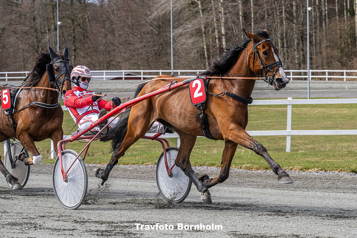 Hejdi Hovmand med Mads Petersen 4 april 2026 Fotograf Torben Ager Travfoto Bornholm TKA 8860