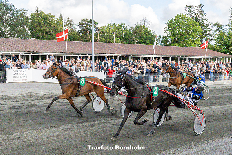 Hejdi Hovmand med Niclas Steinlain 8 juli 2025 Fotograf Torben Ager Travfoto Bornholm TKA 5352