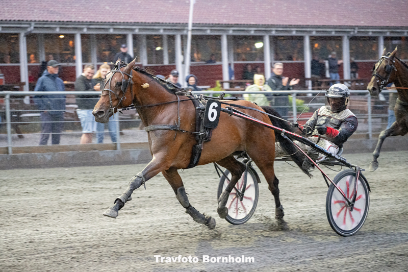 High Roller med Niels Kristian Hansen 24 juni 2025 Fotograf Torben Ager Travfoto Bornholm TKA 4355