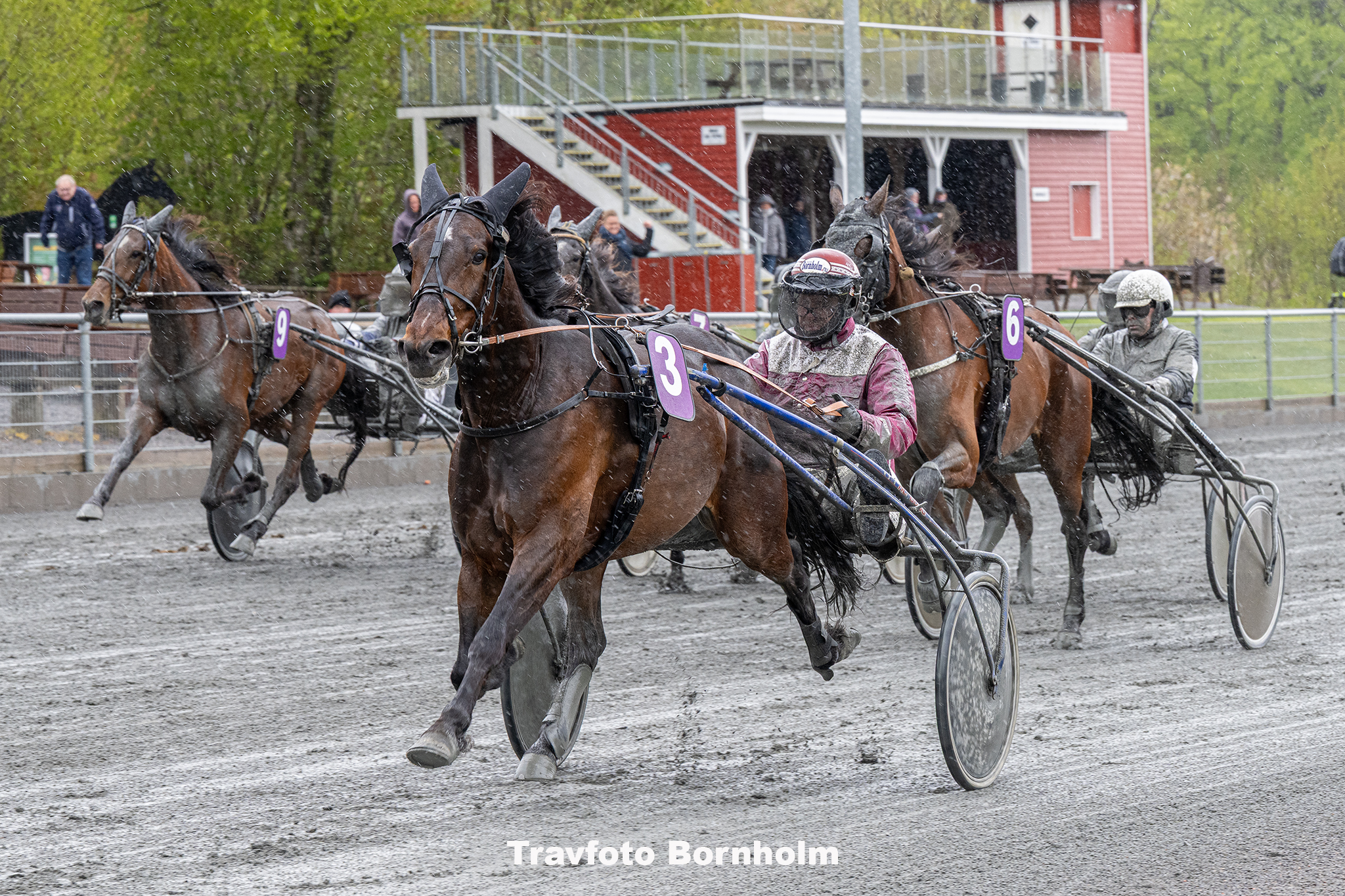 Highway Damgaard med Frank Mikkelsen 3 maj 2025 Fotograf Torben Ager Travfoto Bornholm TKA 8601