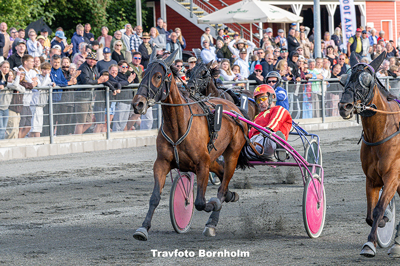Holy Shadow med Michael Skovmose 8 juli 2025 Fotograf Torben Ager Travfoto Bornholm TKA 5438