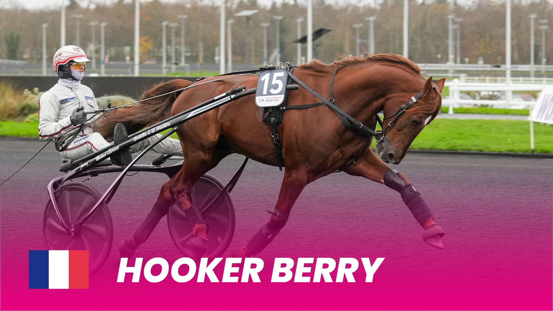 Hooker-berry_1920x1080