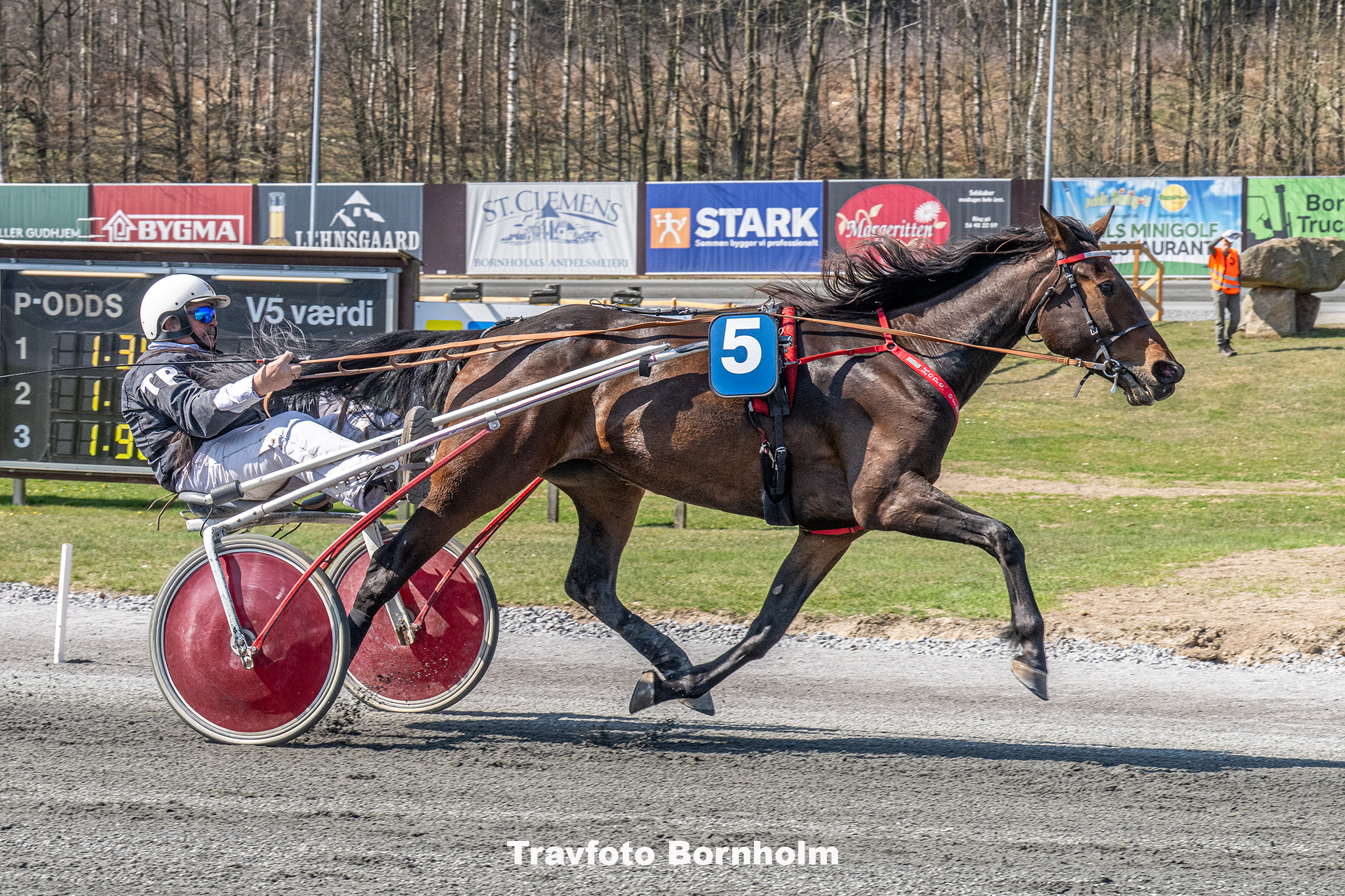 Hope Of Glory med Torben Dahl 13 april 2025 Fotograf Torben Ager Travfoto Bornholm TKA 7249