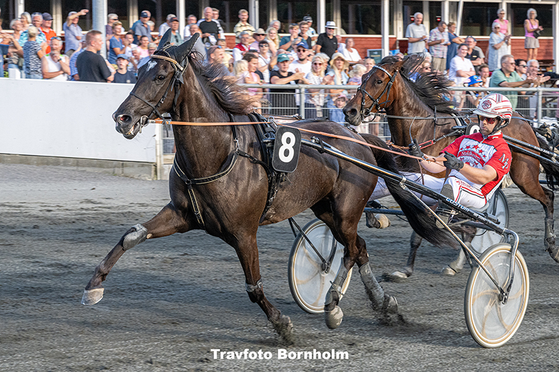 Hotspot Shadow med Mads Petersen 14 august 2025 Fotograf Torben Ager Travfoto Bornholm TKA 9088