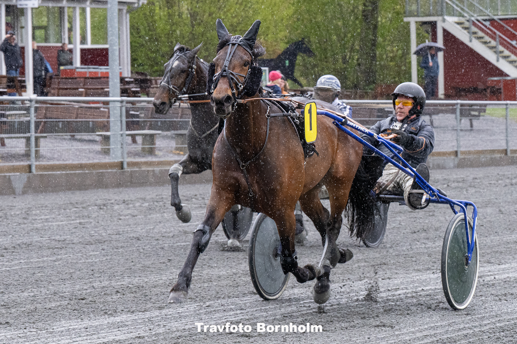 I Go Again Chief med Kiom Mortensen 3 maj 2025 Fotograf Torben Ager Travfoto Bornholm TKA 8362