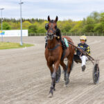 Sådan gik det i Skive IDEAL_DU_VINCENT_3