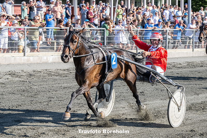 Imawinner med Ole Moeller 14 august 2025 Fotograf Torben Ager Travfoto Bornholm TKA 8916