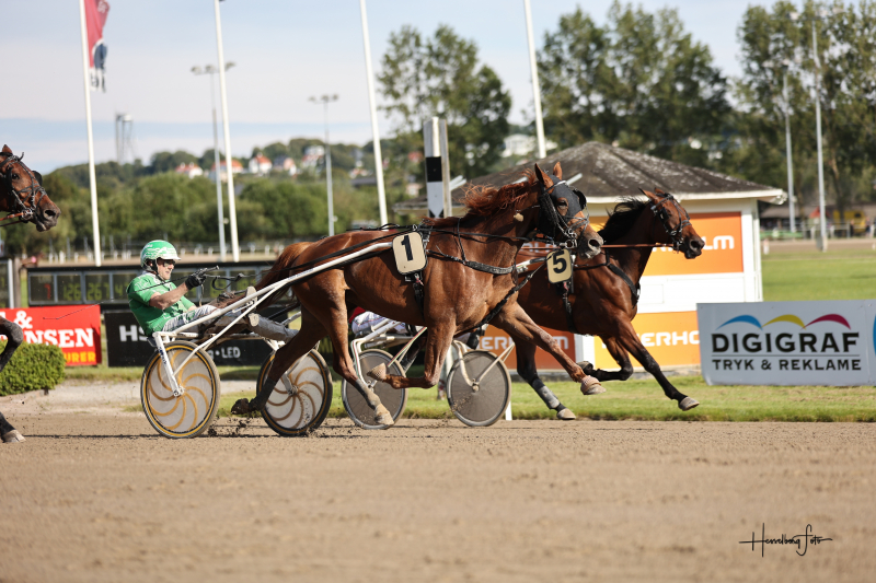 Ingeborg 2502