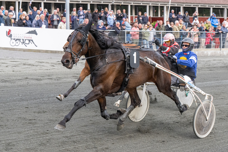 Inter Flamingo med Mads K Mogens 1